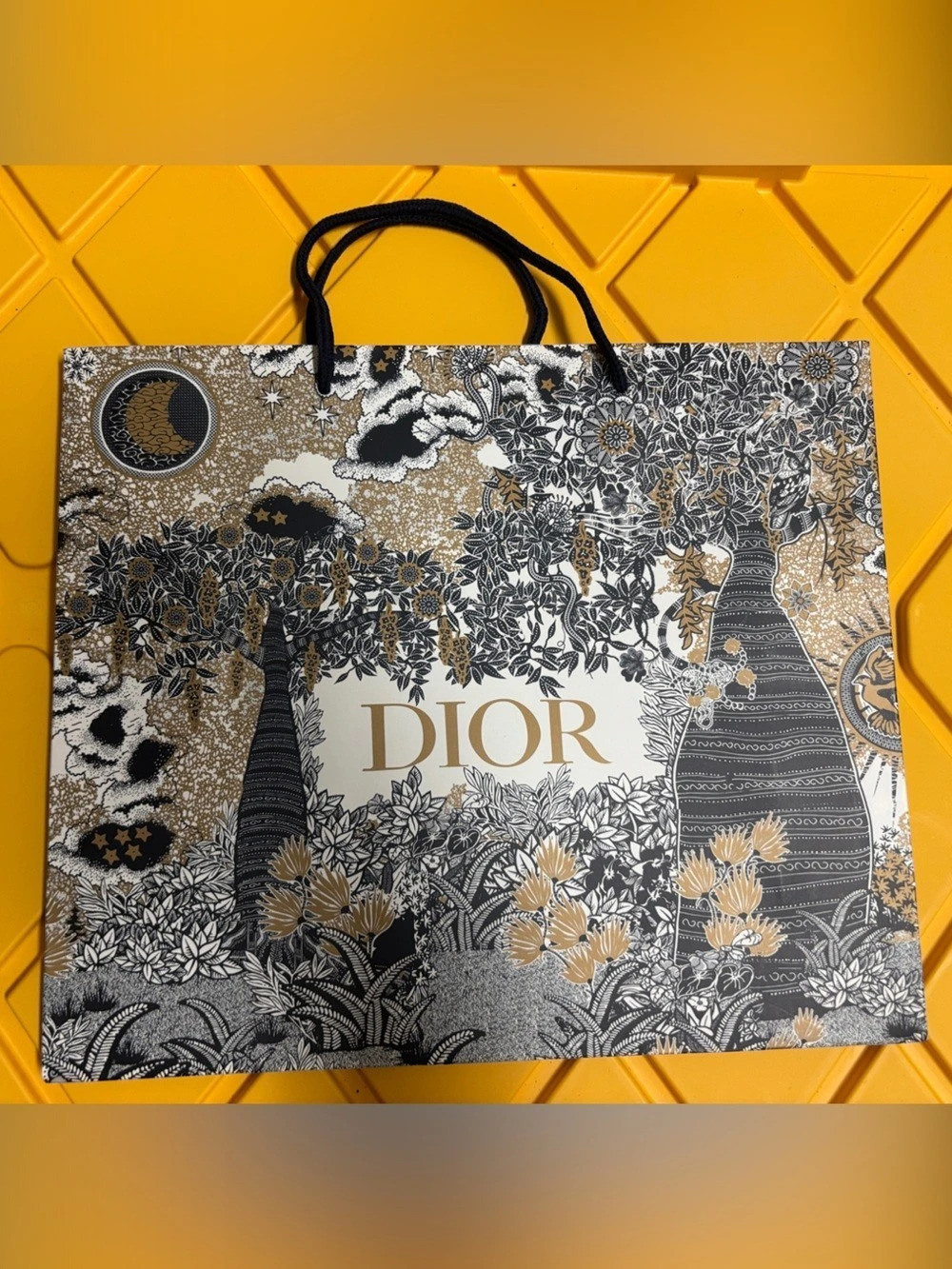 Dior Holiday Limited Edition Paper Shopping Bag